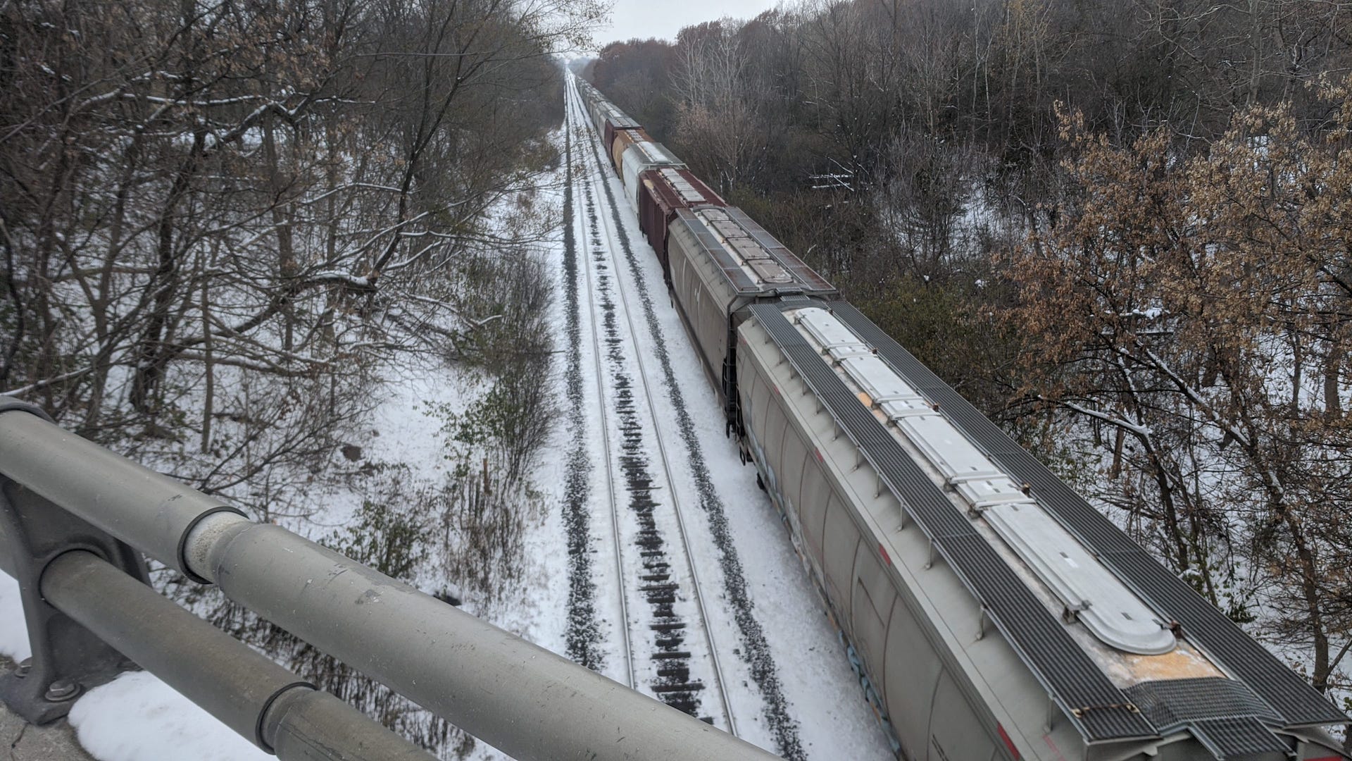 Watching the train