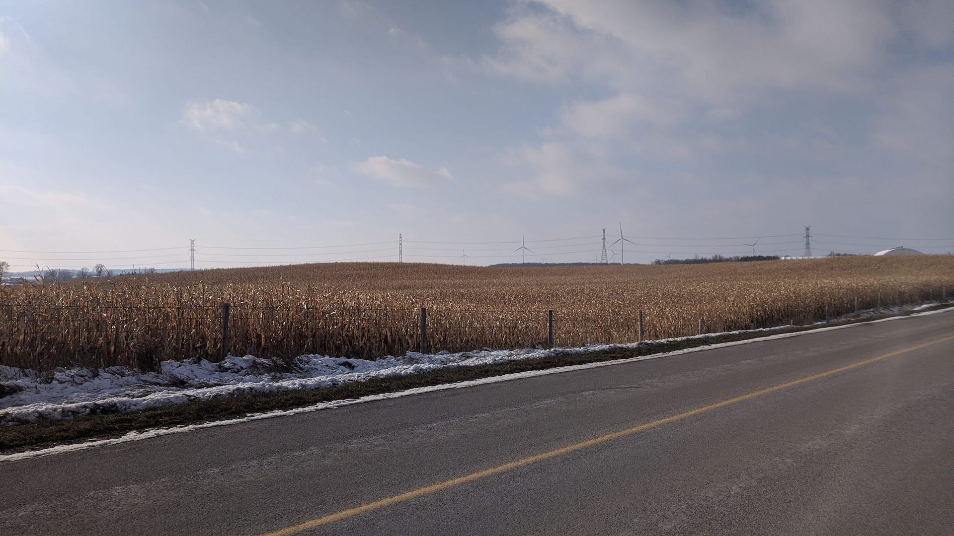 Fields of wheat