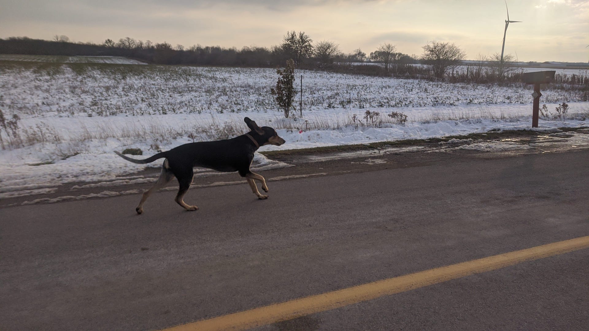 Run like the wind