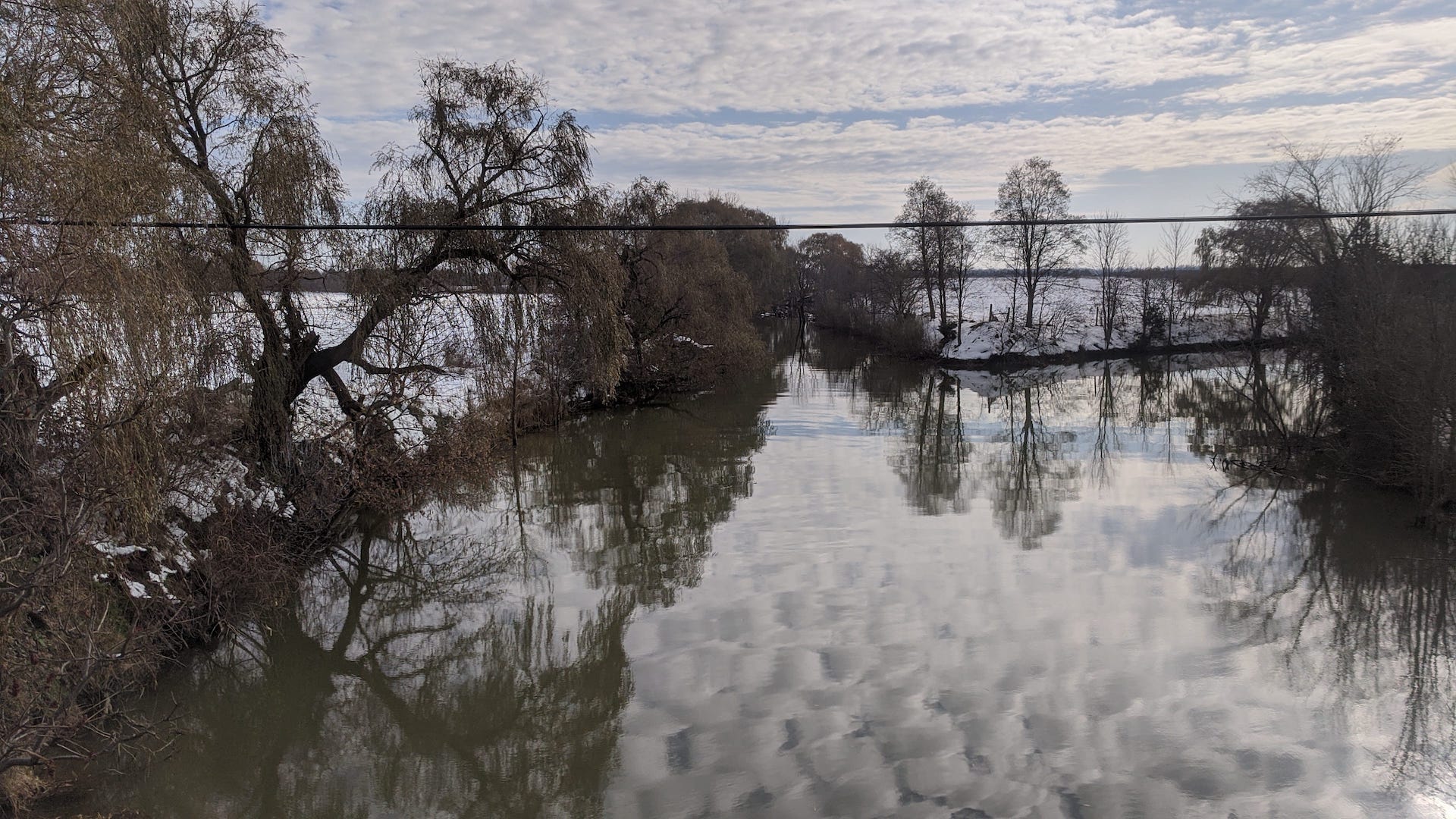 Cow creek