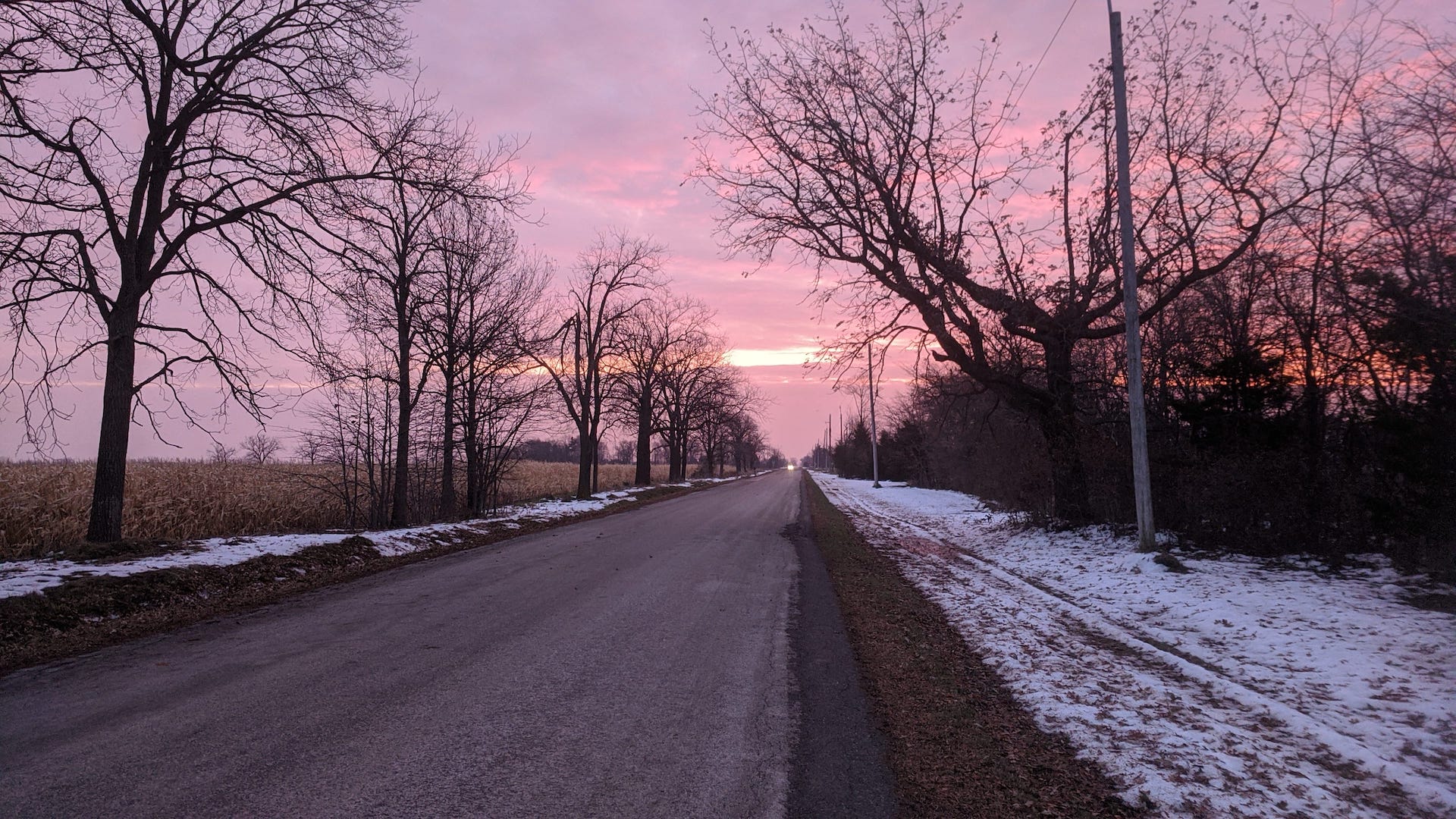 Pink sky