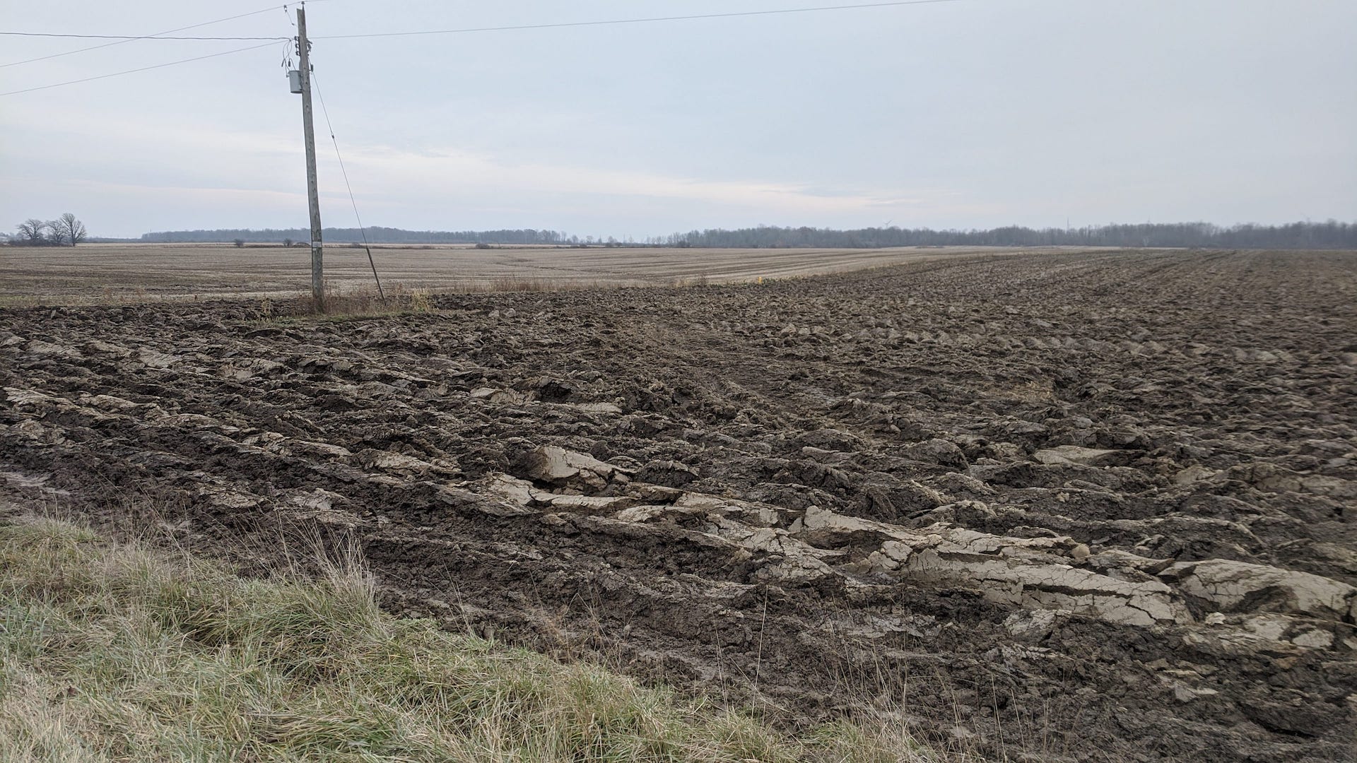 Brownie shaped mud